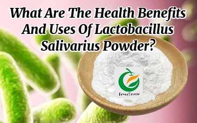 Какова польза для здоровья и применение порошка Ligilactobacillus Salivarius?
